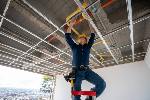 Best Water Leak Repair  in Ottawa, IL